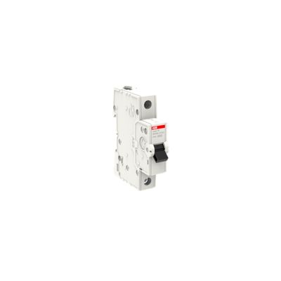 ABB 2CDS651061R0404 1X40A C 6kA OTOMAT