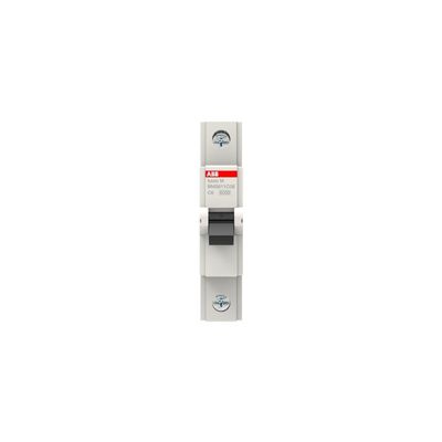 ABB 2CDS651061R0634 1X63A C TİPİ 6KA OTOMAT